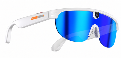 The Horizon Glasses